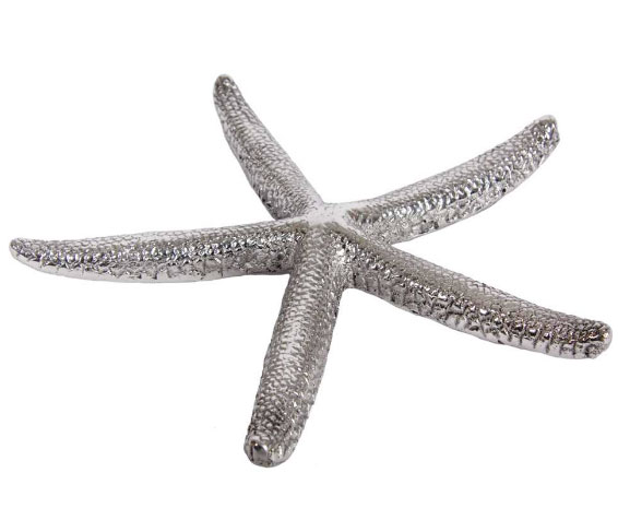 Starfish 4 inch