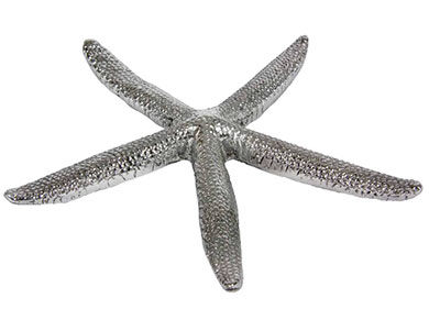 Starfish 6 inch